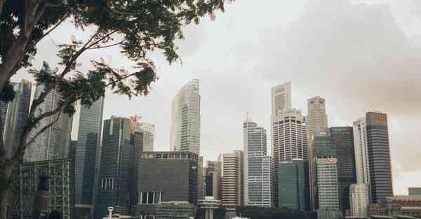 智能机器人盼盼,农行智能机器人盼盼