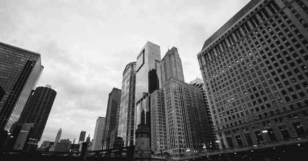 外国语单招大数据的行业文章