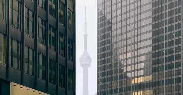 全自动智能宠物机器人 宠物机器人COZMO