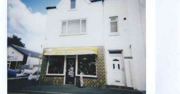 人工智能CEO概念(人工智能CEO概念是什么)