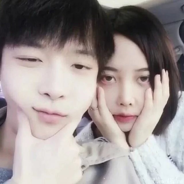 澹台振仪元
