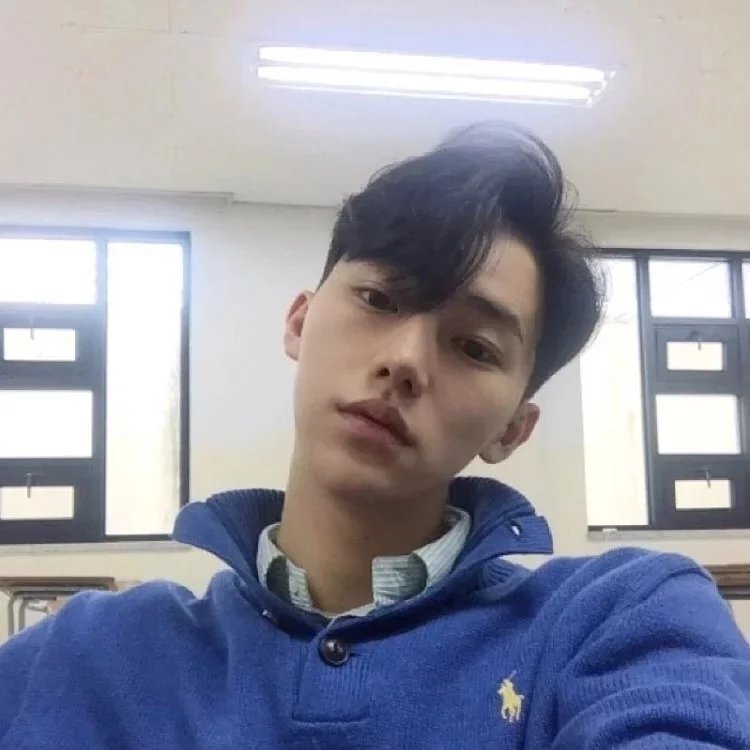鲁顺成羽
