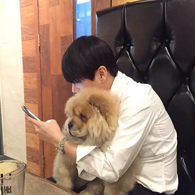 解羽辰会