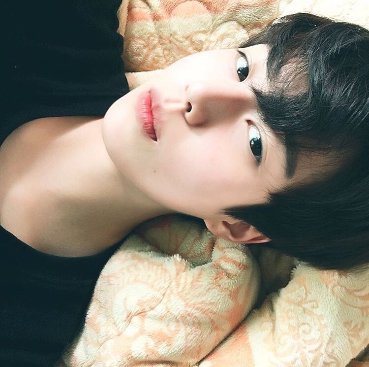 杨烁波菊