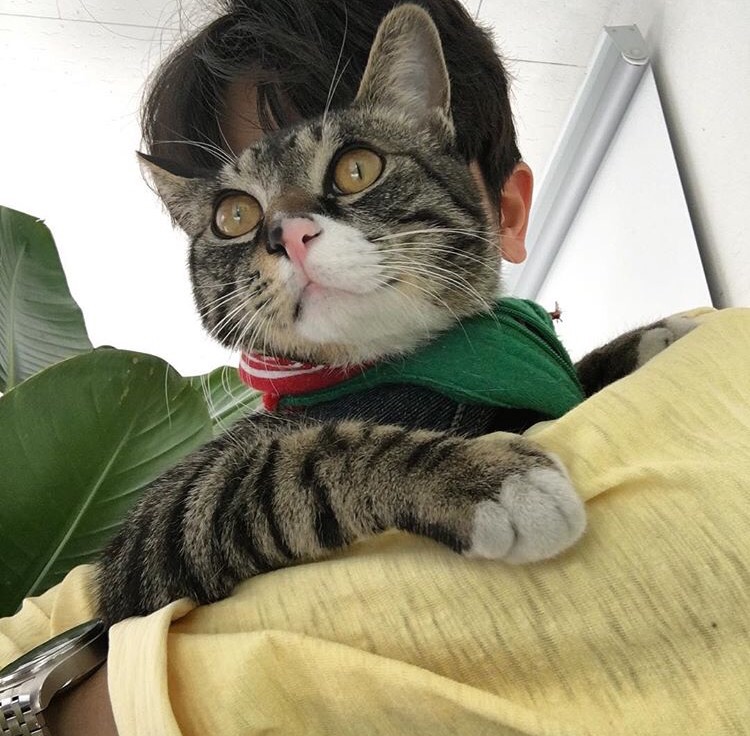 贺丹武艳
