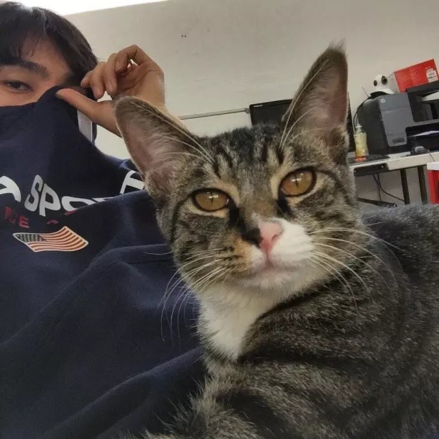 石士瑞轮