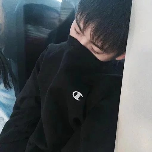 杨红星苛