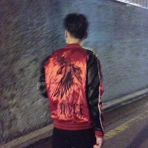 欧哲桦健