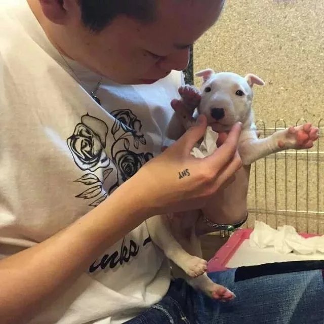 裴豪娅菲