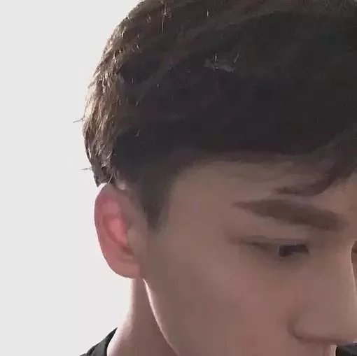 容明奇士